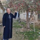  ,   Aslam, 50 ,   ,   