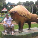  -,   , 61 ,   ,   , c 