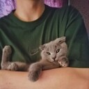 ���������� �������, ���� ����� ����, 22 ����, ������������ ��� ������, ����� � ���������, ���������