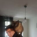 ���������� �������, ���� ������� ������, 39 ���, ������������ ��� ������, ����� � ���������