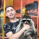 ���������� �������, ���� ������� �������, 26 ���, ������������ ��� ������, ����� � ���������