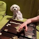  ,   , 27 ,   ,   , c , 