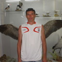 ���������� ���������, ���� ������� �������, 48 ���, ������������ ��� ������, ����� � ���������, c�������� ���������