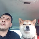 ���������� �����, ���� ������� �����, 37 ���, ������������ ��� ������, ����� � ���������