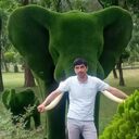 ���������� �����������, ���� ������� �����, 34 ����, ������������ ��� ������, ����� � ���������