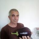  ,   , 59 ,   ,   , c , 