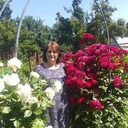 ���������� �������, ���� ������� �����, 63 ����, ������������ ��� c�������� ���������