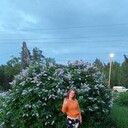  ,   , 48 ,   ,   , 