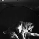 ���������� ������, ���� ������� ������, 41 ���, ������������ ��� ������