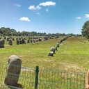 ���������� �����, ���� ������� �������, 32 ����, ������������ ��� ������, ����� � ���������, c�������� ���������