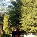 ���������� �����������, ���� ������� ������ Hark, 43 ����, ������������ ��� ������, ���������