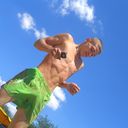 ���������� �������, ���� ������� ����, 32 ����, ������������ ��� ������