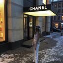 ���������� ������, ���� ������� ���������, 21 ���, ������������ ��� ������, ����� � ���������, ���������