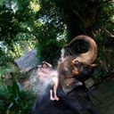 ���������� �������, ���� ������� �����, 34 ����, ������������ ��� ������, ����� � ���������, c�������� ���������