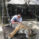 ���������� ���, ���� ������� ������, 36 ���, ������������ ��� ������, ����� � ���������