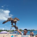 ���������� ������, ���� ������� ������, 37 ���, ������������ 