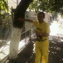 ���������� ������, ���� ������� ���� ������, 61 ���, ������������ ��� ������, ����� � ���������, c�������� ���������