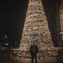 ���������� ������, ���� ������� ����, 38 ���, ������������ ��� ������, ����� � ���������, c�������� ���������, ���������