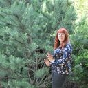  --,   , 45 ,     , c 