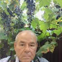  ,   Petr, 72 ,   ,   