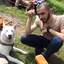  ,   , 28 ,  