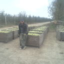  ,   , 50 ,   ,   , c 