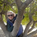  ,   , 67 ,  