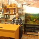 ���������� ������, ���� ������� ALEKS, 51 ���, ������������ ��� ������