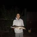 ���������� ���������, ���� ������� ���������, 30 ���, ������������ 