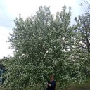  ,   , 40 ,   