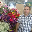  ,   Vivi, 51 ,   ,   , c 