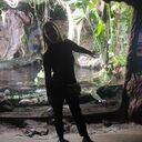 ���������� �����-���������, ���� ������� ���������, 40 ���, ������������ ��� ����� � ���������, c�������� ���������