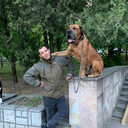 ���������� ������-��-����, ���� ������� �������, 34 ����, ������������ ��� ������, ����� � ���������, c�������� ���������