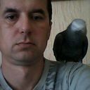 ���������� ��������������, ���� ������� Sergo, 55 ���, ������������ 