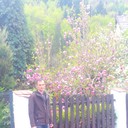 ���������� �������, ���� ������� ����, 43 ����, ������������ ��� ������, ����� � ���������, c�������� ���������, ���������