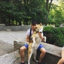 ���������� ����, ���� ������� ����, 33 ����, ������������ ��� ������, ����� � ���������