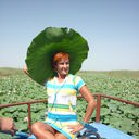 ���������� ���������, ���� ������� ����, 66 ���, ������������ ��� ����� � ���������, c�������� ���������