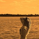 ���������� ������, ���� ������� ��������, 29 ���, ������������ ��� ����� � ���������, c�������� ���������