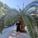  ,   , 45 ,   ,   , c , 