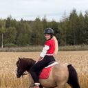 ���������� ������, ���� ������� �����, 27 ���, ������������ ��� c�������� ���������