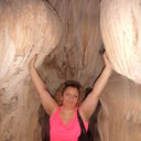  -,   , 51 ,  