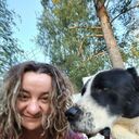 ���������� �����-���������, ���� ������� ��������, 41 ���, ������������ ��� ������, ����� � ���������