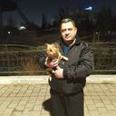 ���������� �������, ���� ������� �����, 50 ���, ������������ ��� c�������� ���������