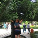 ���������� ������, ���� ������� �����, 59 ���, ������������ ��� ������, ����� � ���������