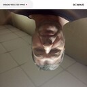  ,   , 62 ,   ,   