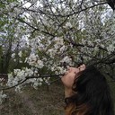  ,   , 40 ,   ,   , c 