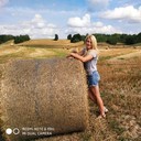 ���������� �����, ���� ������� �����, 31 ���, ������������ ��� ������, ����� � ���������, c�������� ���������