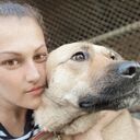 ���������� ������, ���� ������� �������, 39 ���, ������������ ��� ������, ����� � ���������, c�������� ���������, ���������