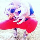 ���������� ��������, ���� ������� ������, 27 ���, ������������ ��� ������, ����� � ���������, ���������