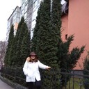  ,   , 62 ,   ,   , c 